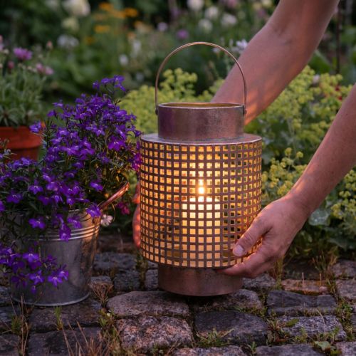 Lanterna decorativa de metal com alça rosa Ø18cm Alt.29cm | Floristik24.pt