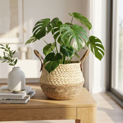 Cesto de fibra de junco bicolor com alças - Cesto para armazenamento e plantio - Natural e marrom Ø25cm A24cm | Floristik24.pt
