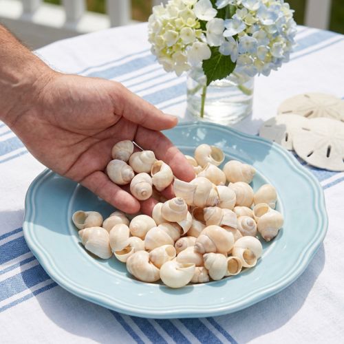 Mexilhão Umachi 500g | Floristik24.pt