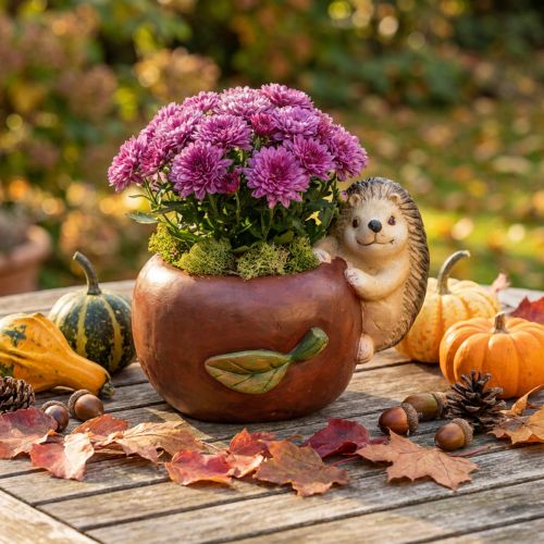 Floreira, maçã com ouriço, decoração de outono, cachepot, cerâmica Ø16cm A22cm L33cm | Floristik24.pt