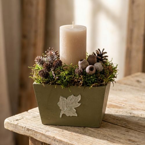 Vaso de madeira para plantas, estilo shabby chic, verde, 11×14,5×14cm | Floristik24.pt