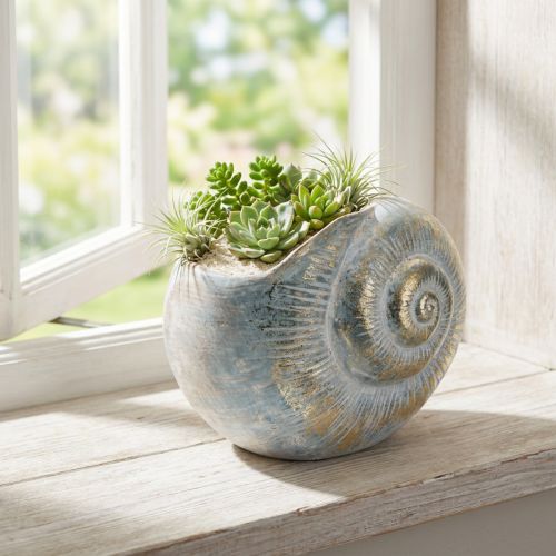 Itens Vaso decorativo em formato de caracol para decoração de parede com temas marítimos e naturais, cinza, 21 cm