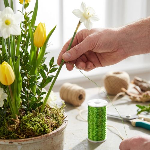 Arame decorativo com efeito de caldo, Ø0,30mm, 100g, 140m, verde maçã, para floristas e artesanato. | Floristik24.pt