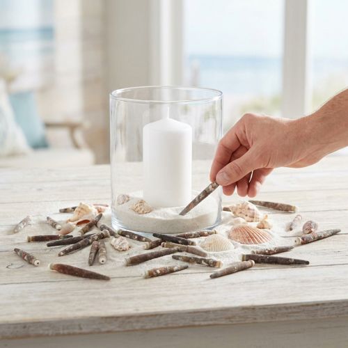 Conchas decorativas Espinhos de ouriço-do-mar, espinhos de ouriço-do-mar, decoração marítima L3–8cm 450g | Floristik24.pt