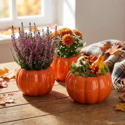 Itens Vaso de cerâmica para plantador abóbora laranja Ø9,5cm H6,5cm 4 peças