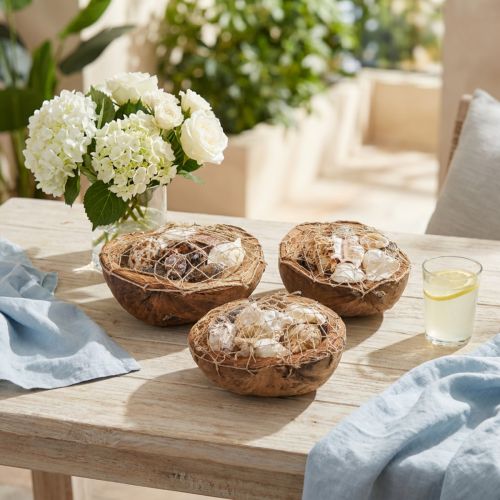 Conchas decorativas de meia casca de coco, conchas de caracol, decoração 18–19 cm 3 unid. | Floristik24.pt