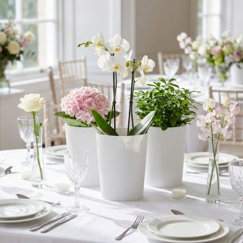Itens Punhos plissados para vasos de flores brancos 14,5cm 100 peças