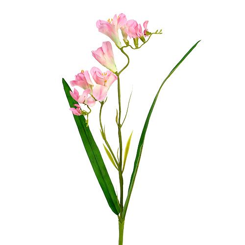 Floristik24 Freesia 56 cm rosa 4 unidades