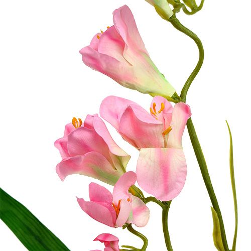 Floristik24 Freesia 56 cm rosa 4 unidades