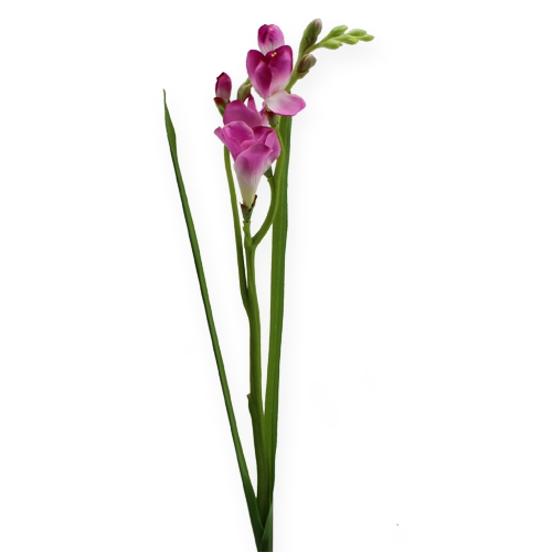 Floristik24 Flor artificial Fresien 56cm 3pcs.