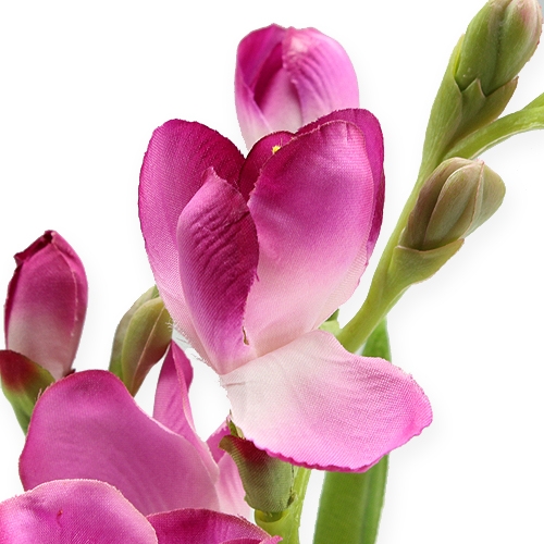 Floristik24 Flor artificial Fresien 56cm 3pcs.