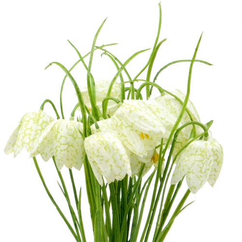 Floristik24 Flores xadrez Fritillaria artificial branca, verde 40cm 12 unid.