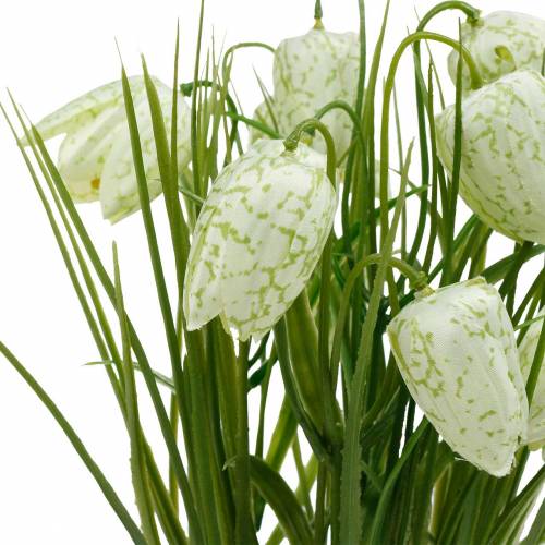 Floristik24 Fritillaria em vaso, flor xadrez verde e branca, flor artificial