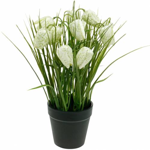 Floristik24 Fritillaria em vaso, flor xadrez verde e branca, flor artificial
