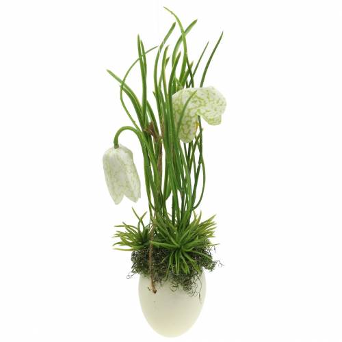 Floristik24 Fritilaria na casca do ovo para pendurar artificialmente verde, branco 25cm