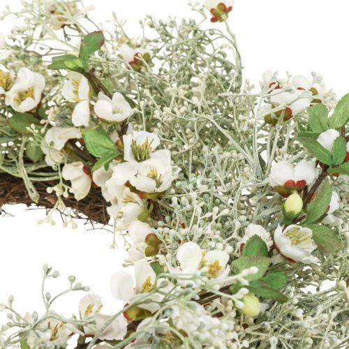 Floristik24 Guirlanda primavera flor de cerejeira guirlanda gypsophila artificial Ø50cm