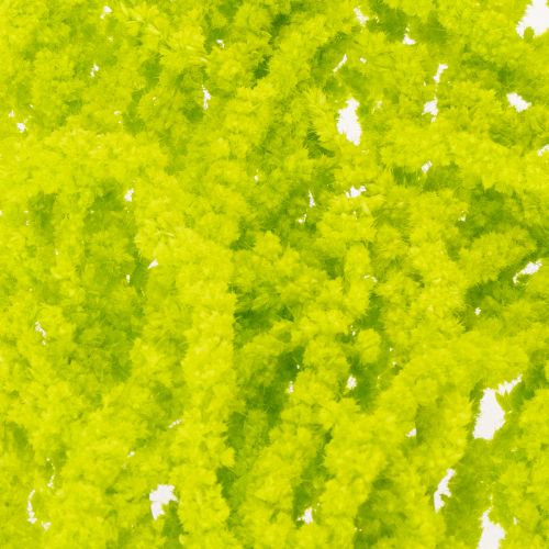 Itens Flores secas de rabo de raposa, tingidas, para decoração especial e detalhes únicos, 100 cm, 5 peças.