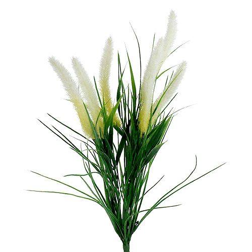 Floristik24 Foxtail verde grama, branco 63 cm