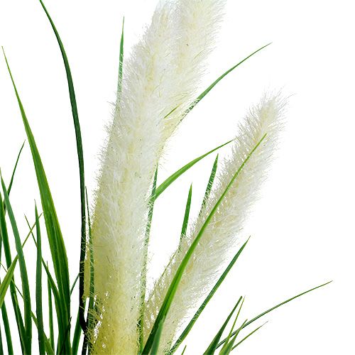 Itens Foxtail verde grama, branco 63 cm