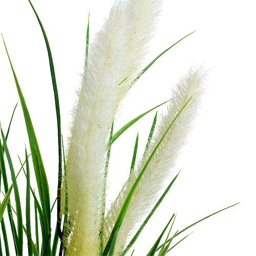 Floristik24 Foxtail verde grama, branco 63 cm