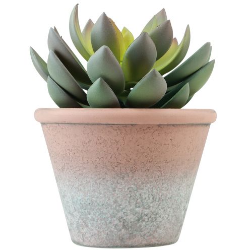 Floristik24 Planta suculenta em vaso Echeveria artificial verde vintage Ø15cm Alt.16cm