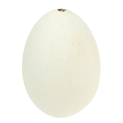 Itens Ovos de ganso brancos 7cm - 8cm 6pcs