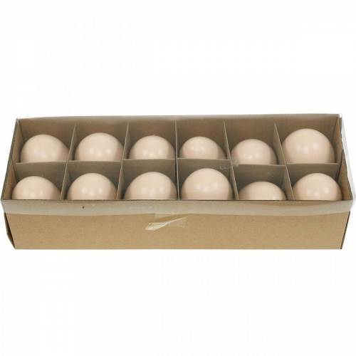 Floristik24 Ovos de Ganso Creme Ovos Soprados Decoração de Páscoa 12 un