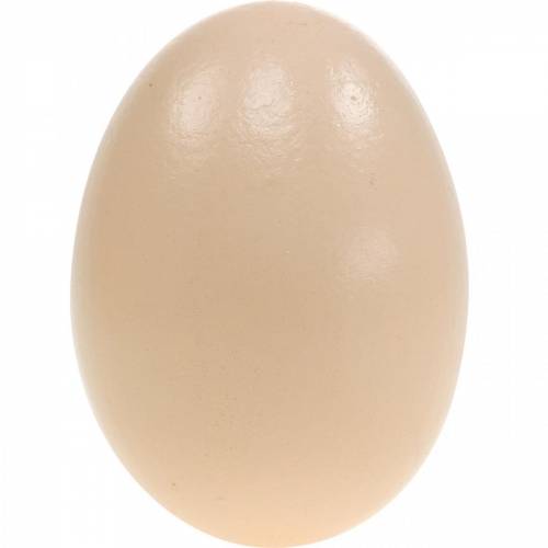Floristik24 Ovos de Ganso Creme Ovos Soprados Decoração de Páscoa 12 un