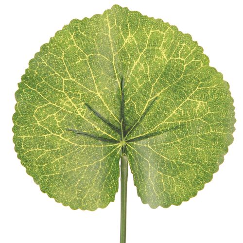 Itens Folhas Galax Urceolata Artificial Verde Ø10cm L23cm 12 pcs