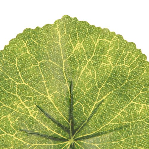 Itens Folhas Galax Urceolata Artificial Verde Ø10cm L23cm 12 pcs