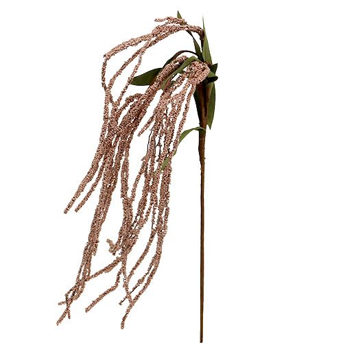 Floristik24 Rabo de raposa de jardim 95cm