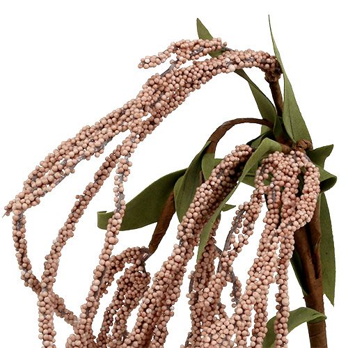 Floristik24 Rabo de raposa de jardim 95cm