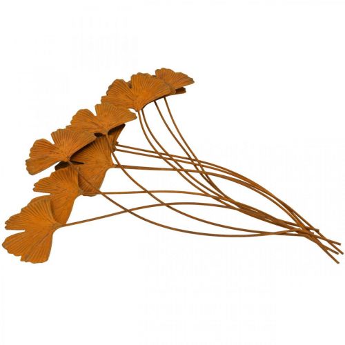 Floristik24 Estaca de jardim estaca de folha de gingko ferrugem 7x5cm 6pcs