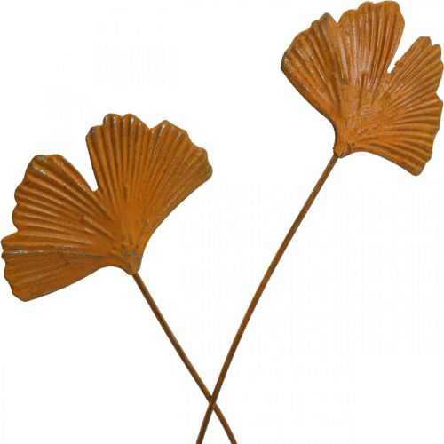Floristik24 Estaca de jardim estaca de folha de gingko ferrugem 7x5cm 6pcs