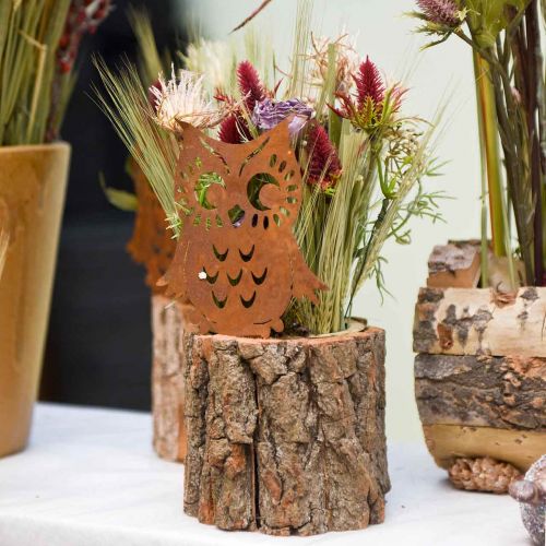 Floristik24 Estacas de jardim pátina de coruja, outono, decoração de metal H32cm 6pcs