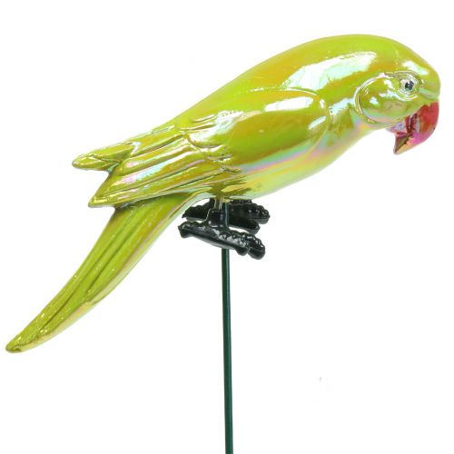 Floristik24 Plugue de jardim papagaio amarelo 16 cm
