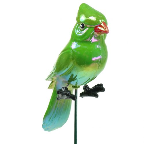 Floristik24 Plugue de jardim verde papagaio 16 cm