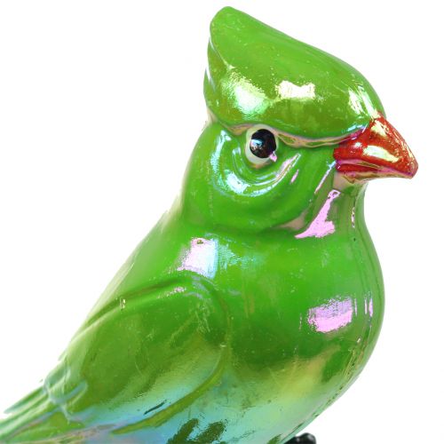 Itens Plugue de jardim verde papagaio 16 cm