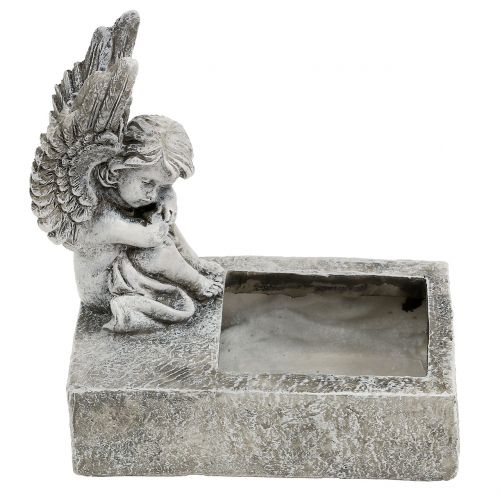 Floristik24 Plantador com cinza anjo 17cm