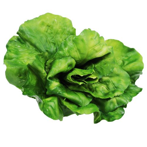 Floristik24 Variedade de vegetais na net