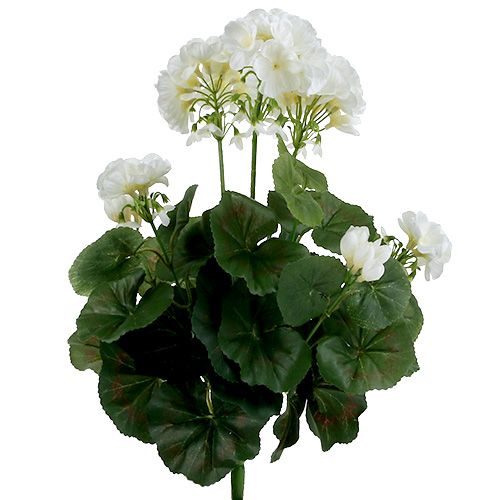 Itens Arbusto de gerânio branco 38cm