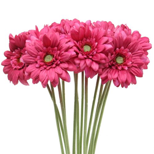 Floristik24 Gerbera Rosa 48cm 12pcs