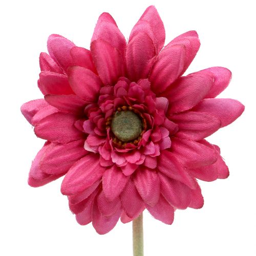 Floristik24 Gerbera Rosa 48cm 12pcs