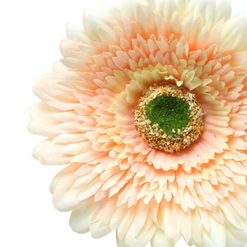 Floristik24 Gerbera artificial pêssego 62 cm 6 unidades