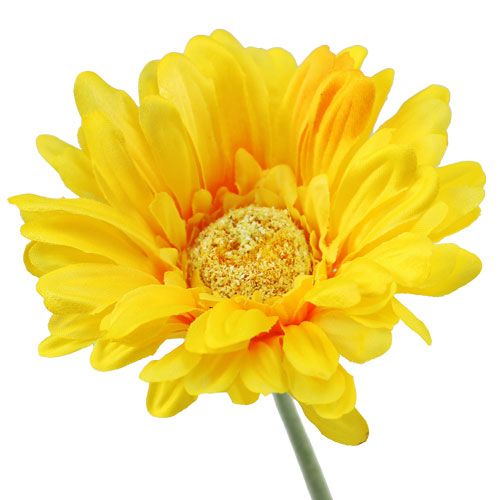 Floristik24 Gerbera amarelo artificial Ø10cm C55cm 6pcs