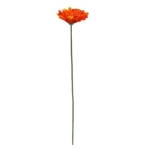 Floristik24 Gérbera Laranja Ø10cm C55cm 6pcs