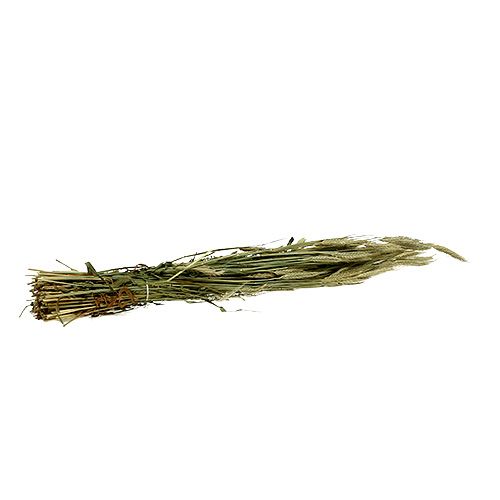 Itens Decoração de grãos de cevada decoração seca natural 80cm cacho 1 peça