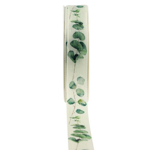 Floristik24 Fita para presente fita decorativa de eucalipto verde 25mm 20m