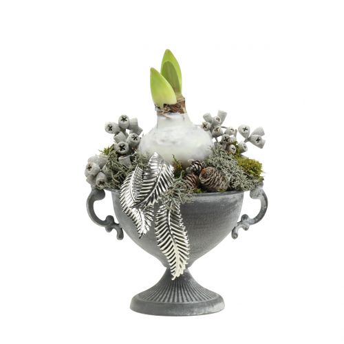 Floristik24 Frutos de eucalipto encerados de branco 250g