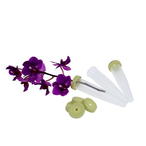 Floristik24 Tubos de arranjo 7,5 x 1,5cm 100 peças